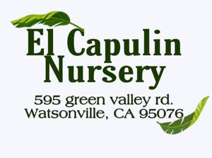 El Capulin Nursery