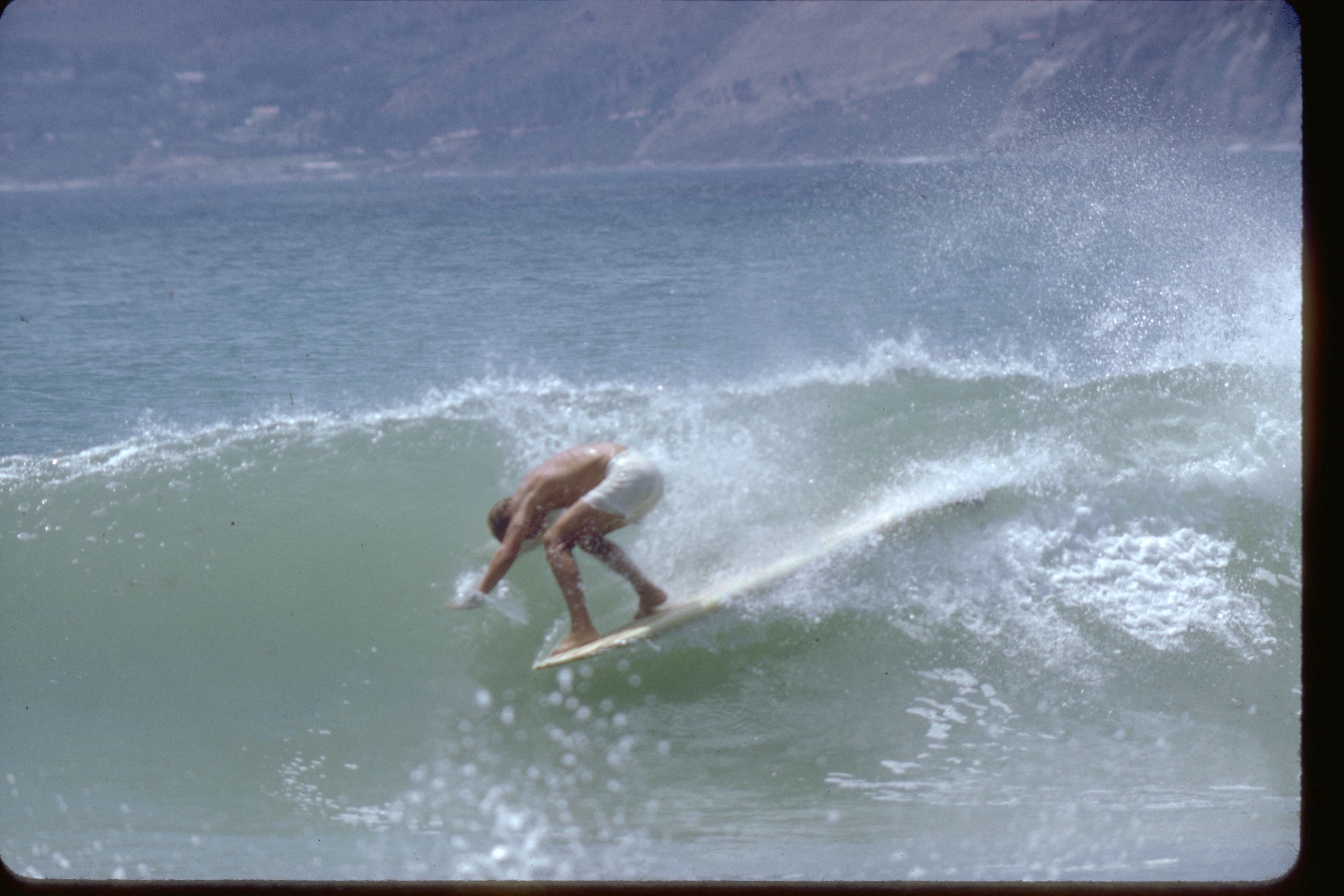 Afrozeh | Endless Summer | Velour