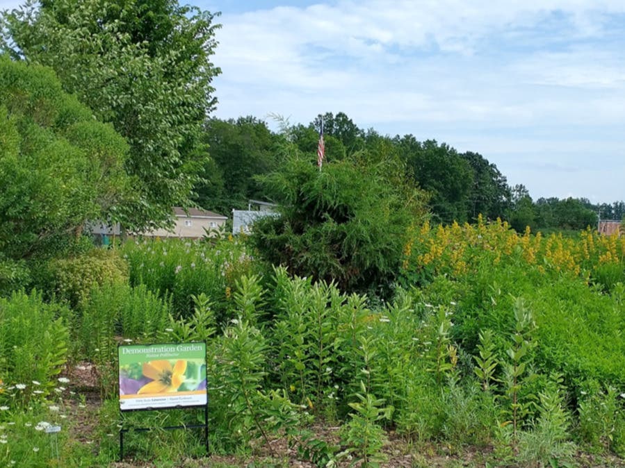 Open Garden Days Hosted by Penn State Extension Master Gardeners of Bucks County