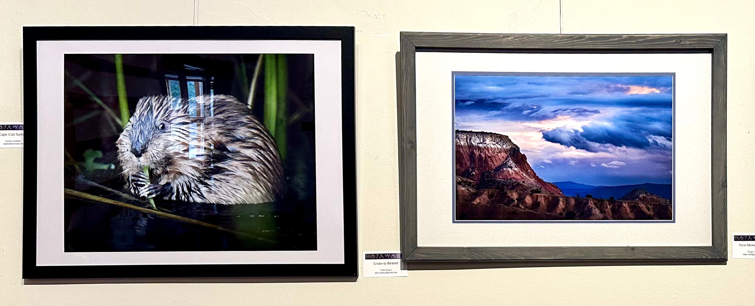 Gateway Camera Club Print Exhibit on Display at Broadmoor Thru May 31, 2026