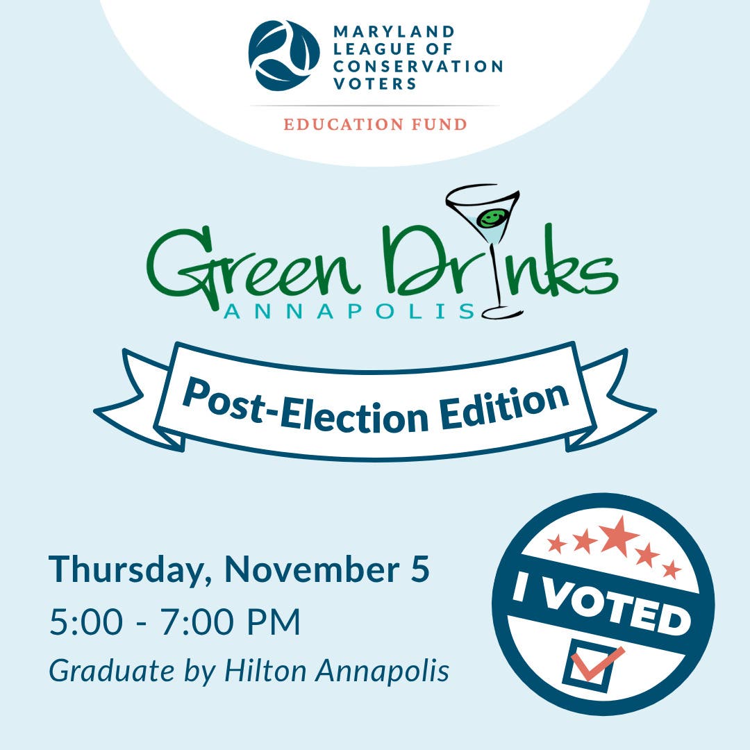 Green Drinks Annapolis ~ Post-Election Edition