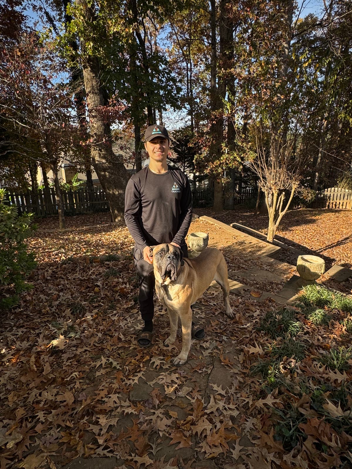 PackMates—Dog Training