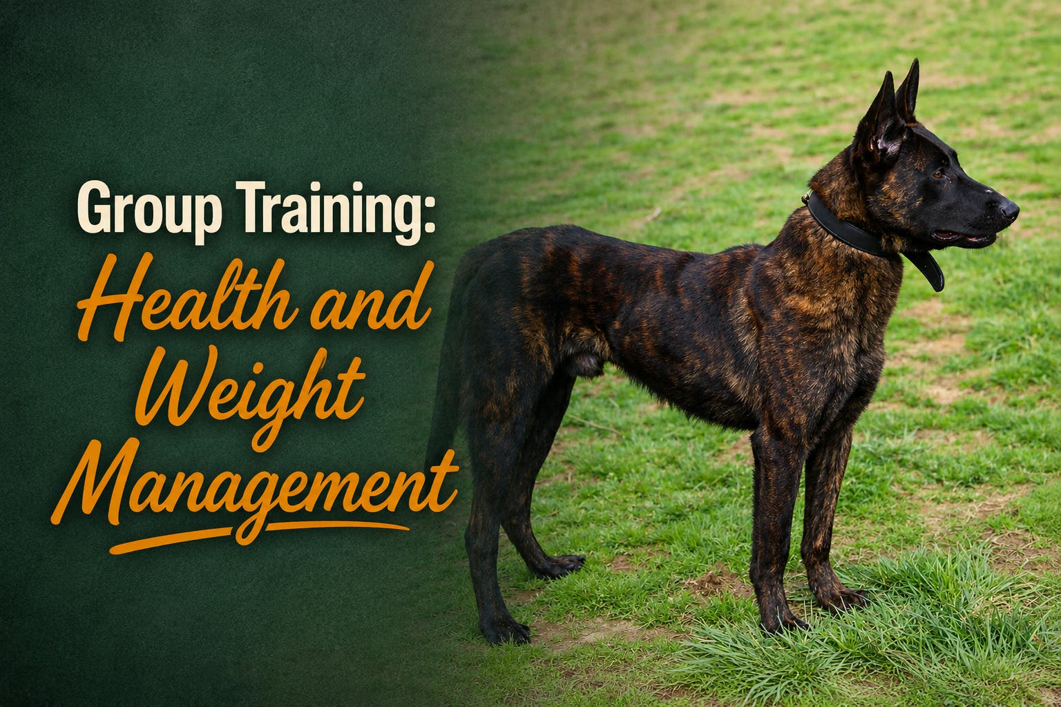 Group Training Health and Weight Management | Gainesville, GA