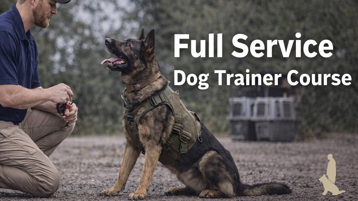 Full Service Dog Trainer Course | October 12, 2026