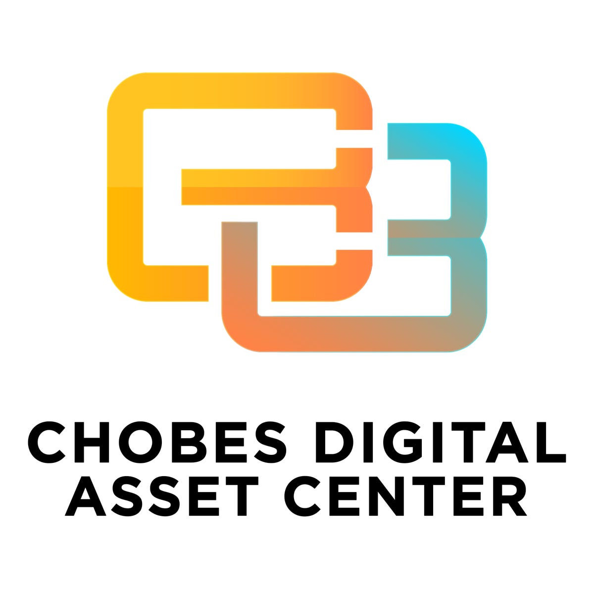 Chobes Digital Asset Center Review