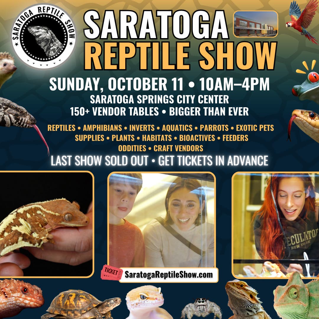 Saratoga Reptile & Exotic Pet Show Returns This Sunday!