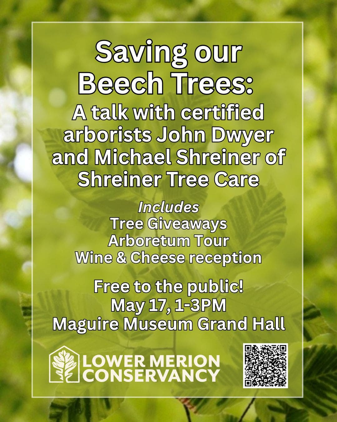 Save the Beech Trees - Talk and Walk