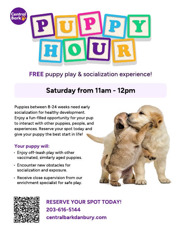 Central Bark - FREE Puppy Hour