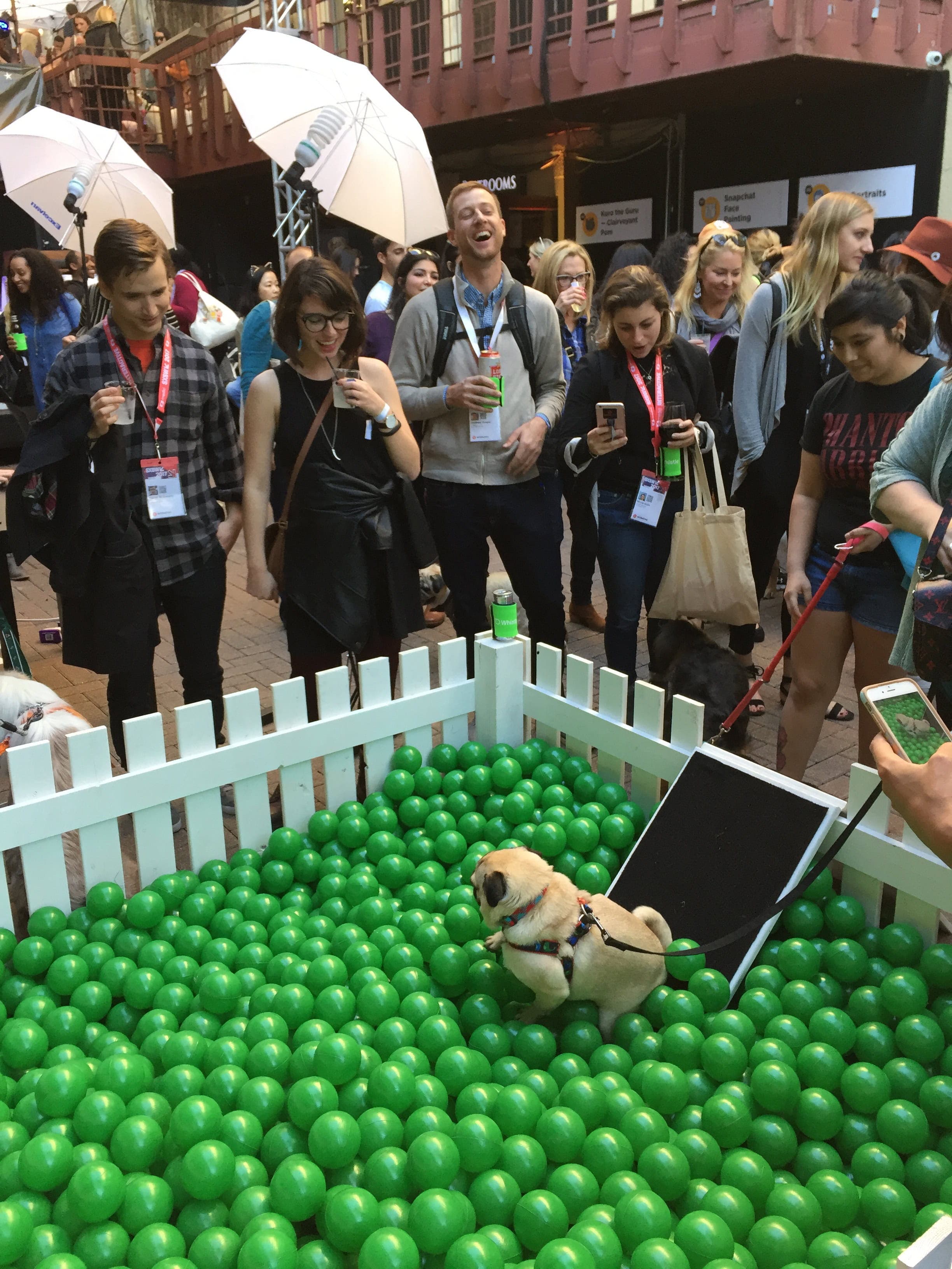 SXSW Pet Rescue Lounge attendees meet the Instagram-famous dog, Manny the Frenchie. SXSW Pet Rescue Lounge attendees meet the Instagram-famous dog, Manny the Frenchie.