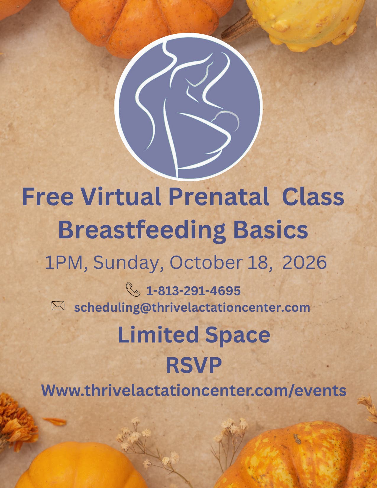 Free Virtual Breastfeeding Class