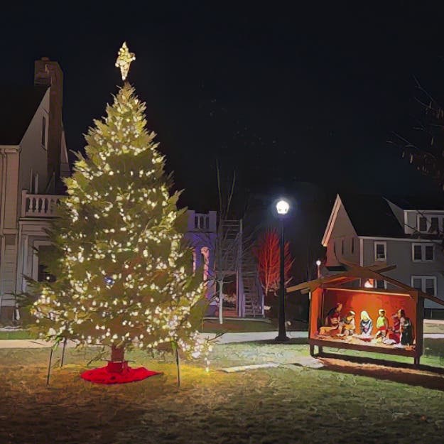 Christmas Tree Lighting