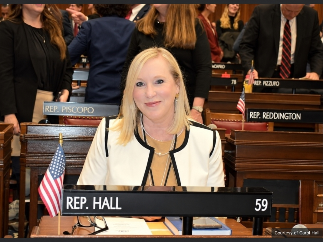 Patch Candidate Profile: Carol Hall For 59th House