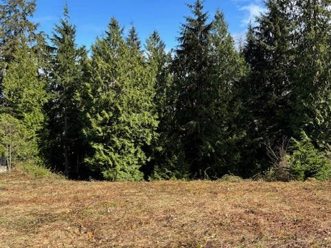 Beautiful Port Ludlow Lot for sale