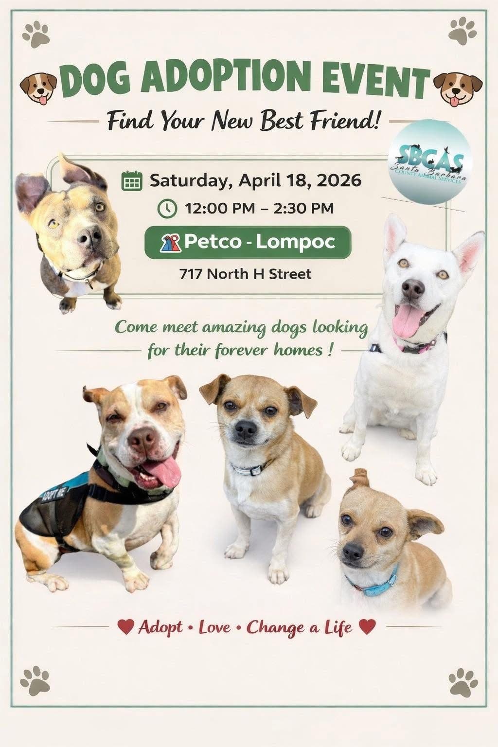 Dog Adoption Event !!!