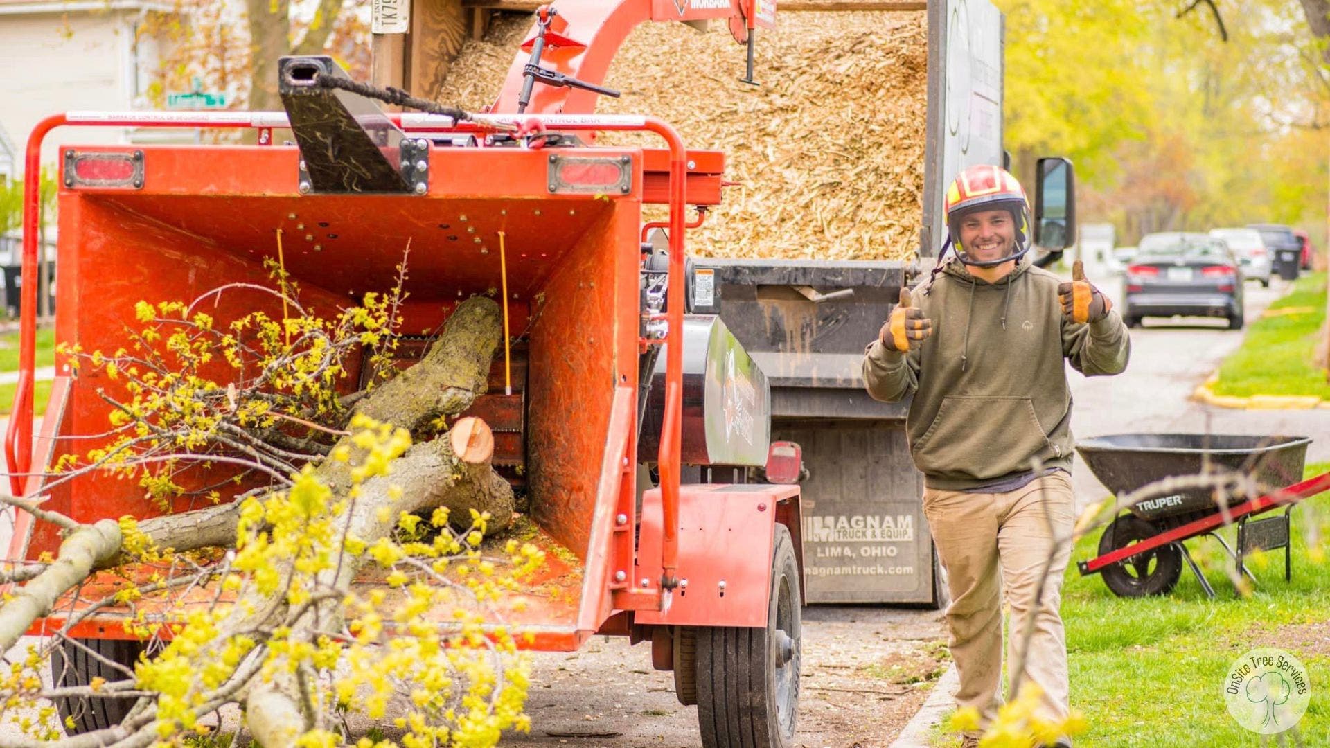 Elite Tree Services for a Safer Property