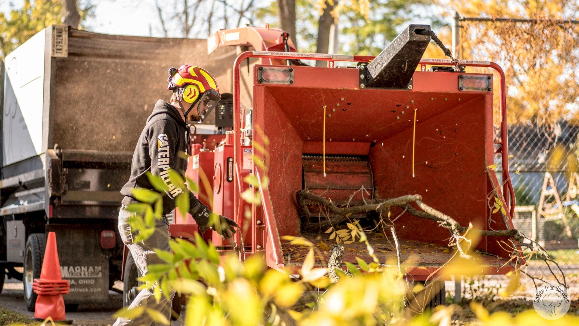 Emergency Tree Removal in Fort Wayne, IN