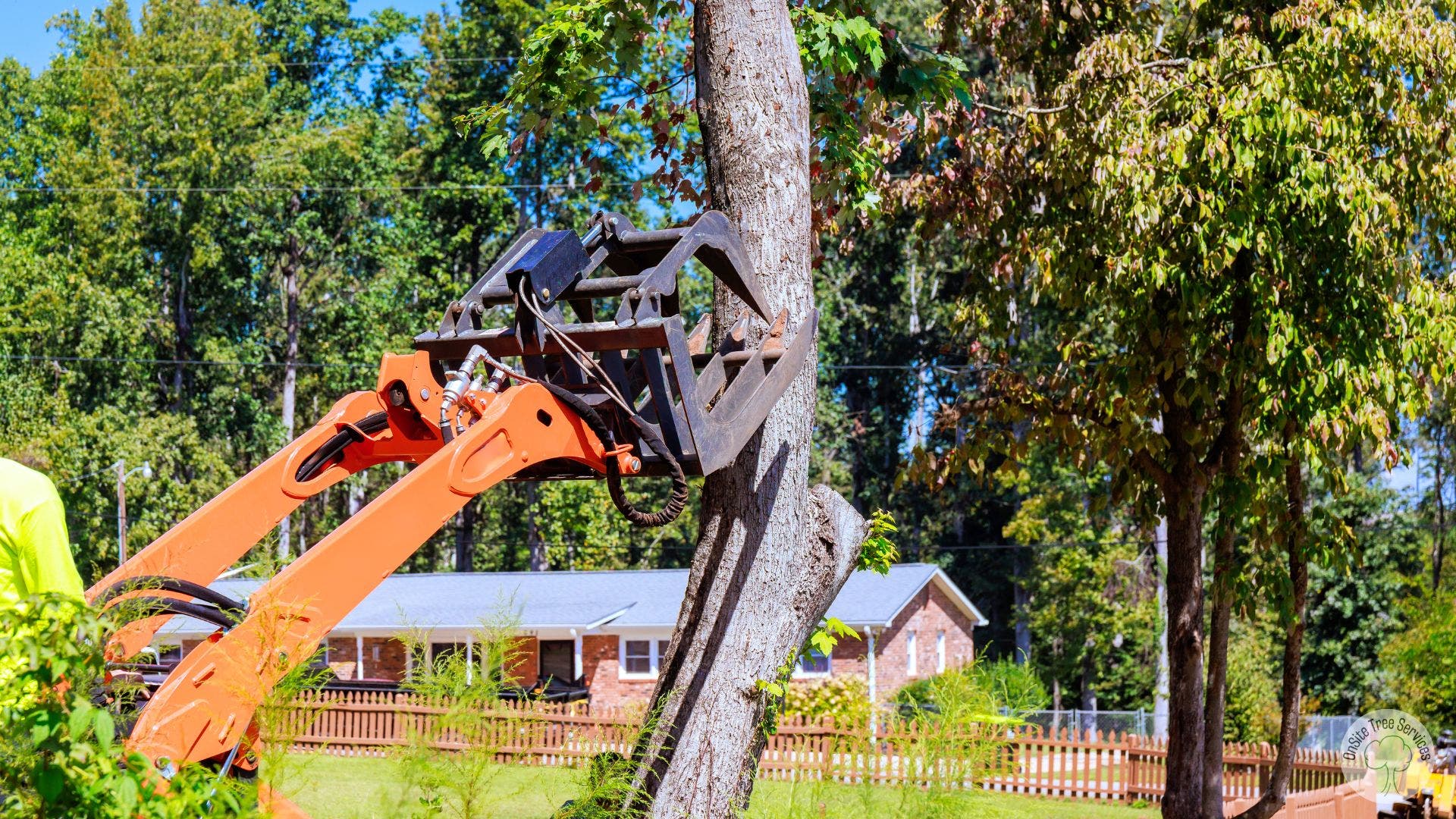Tree Services in Fort Wayne, IN That Keeps Your Properties Safe
