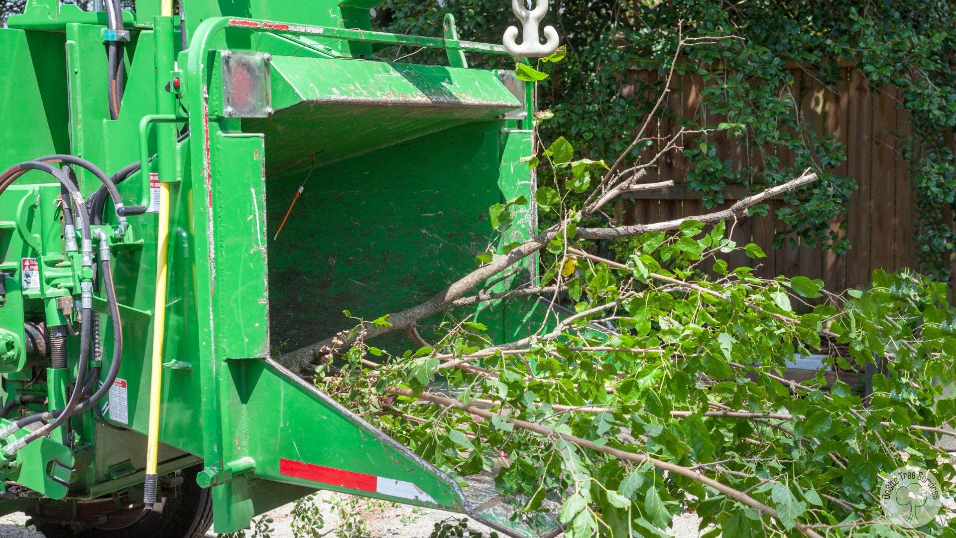 Affordable Tree Services in Fort Wayne, IN – Keep Your Property Safe, Beautiful & Storm Ready