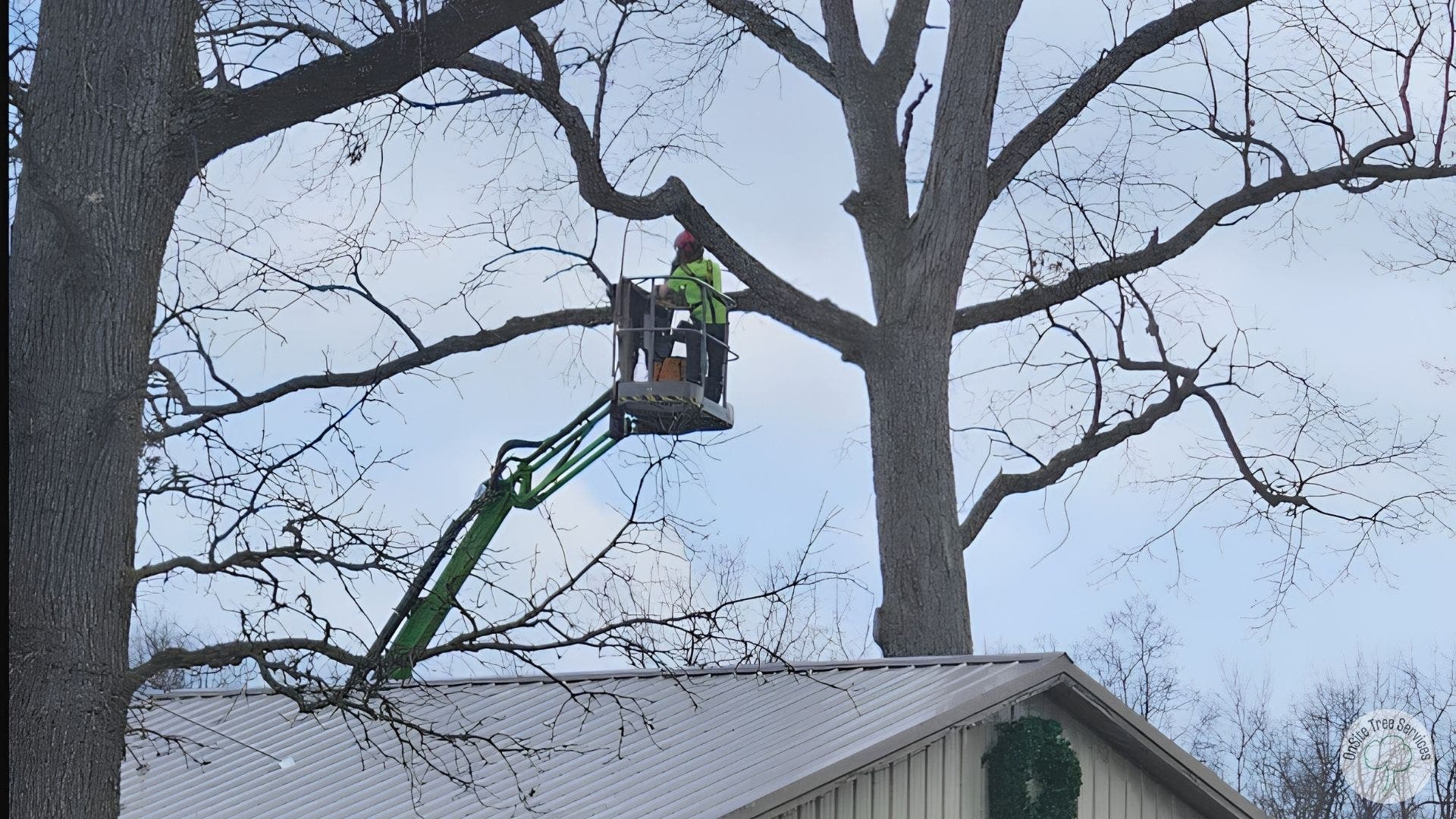 When Fort Wayne Storms Turn Your Trees Into a Liability