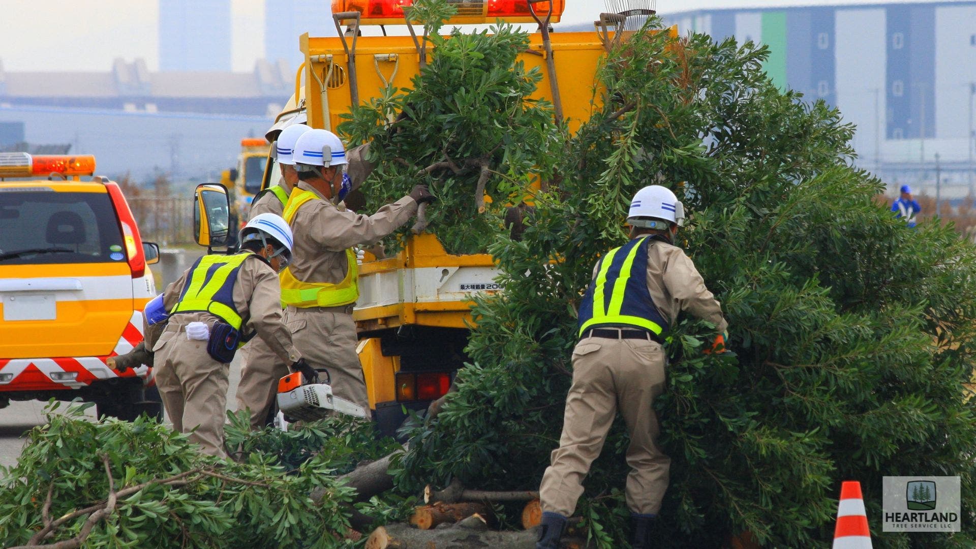 Fast Tree Services Near me in Kokomo, IN Solutions