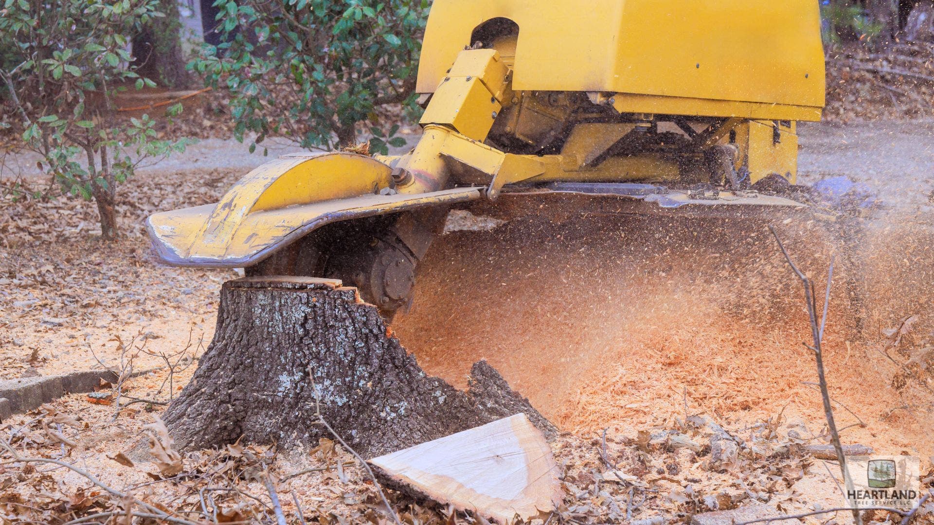 Say Goodbye to Stubborn Stumps — Professional Removal in Fort Wayne, IN