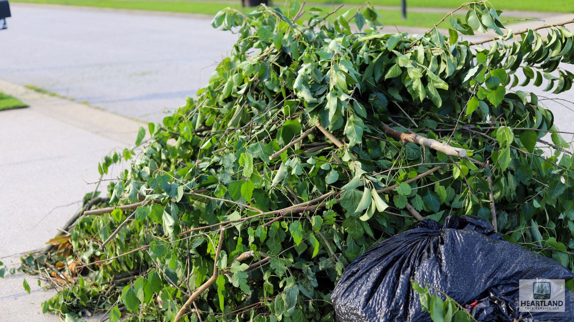 Reliable Tree Services Kokomo, IN for Residential & Commercial Properties