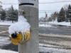 A crosswalk traffic button covered in snow in Hillsborough, NJ