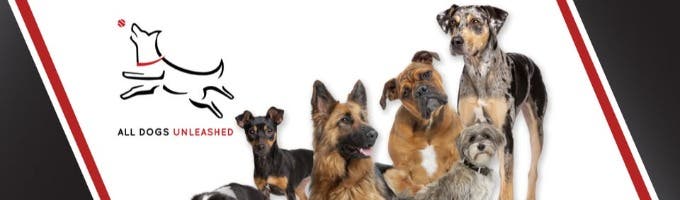 All Dogs Unleashed Dog Training Shreveport