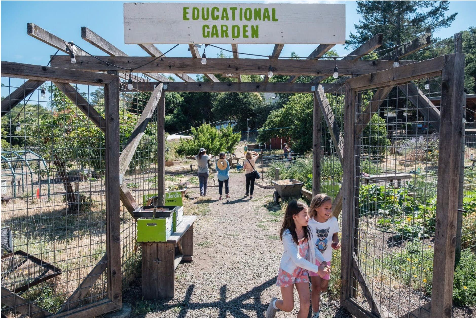 Sunday Farm Open House 6.7
