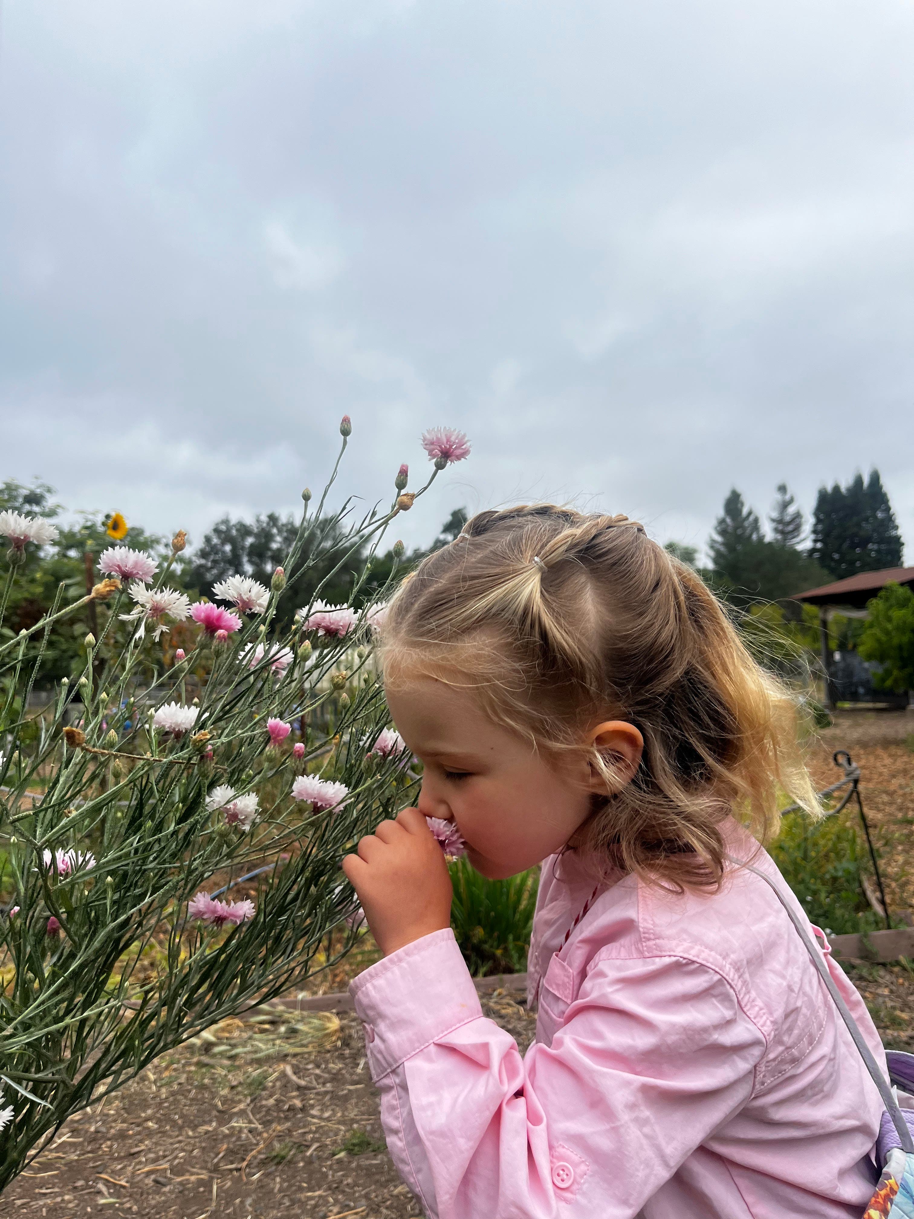 Connolly Ranch - Farm Open House