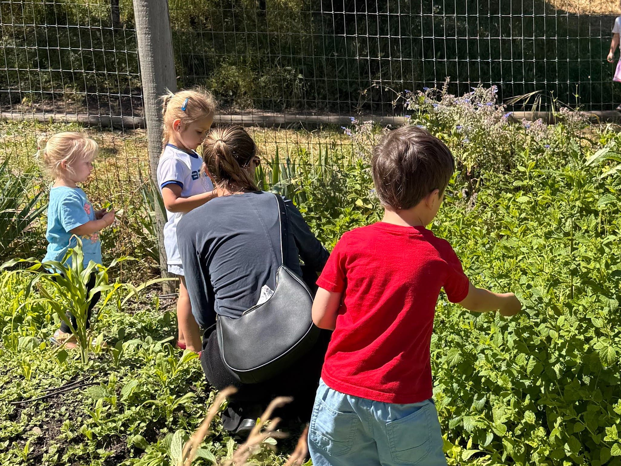Sunday Farm Open House