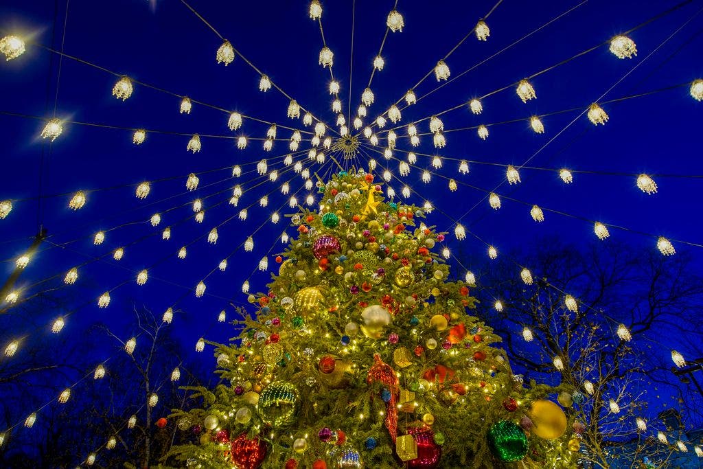 Tavern on the Green's Annual Christmas Tree Lighting, Featuring Broadway’s Kelsie Watts