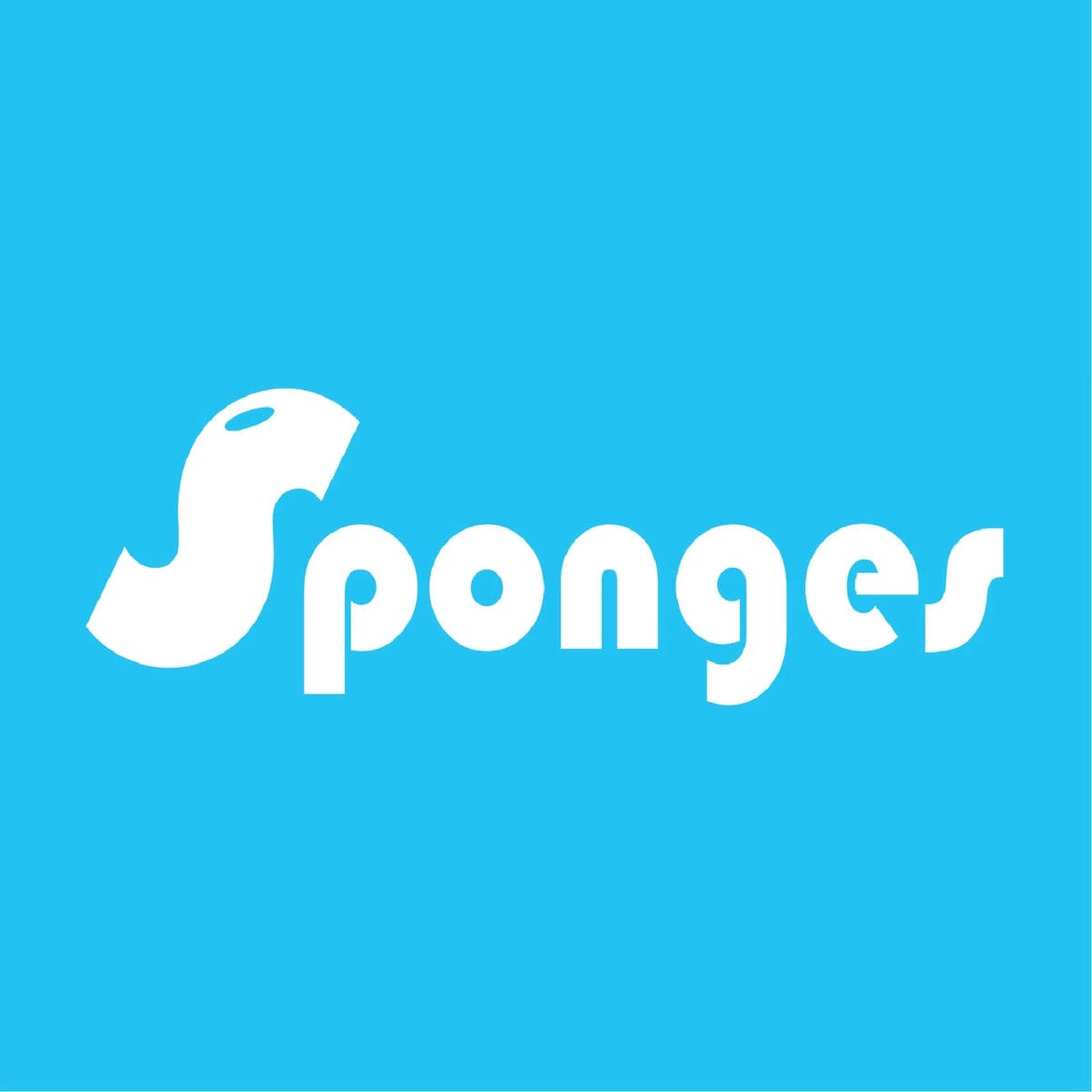 Sponges Mobile Car Wash & Detailing