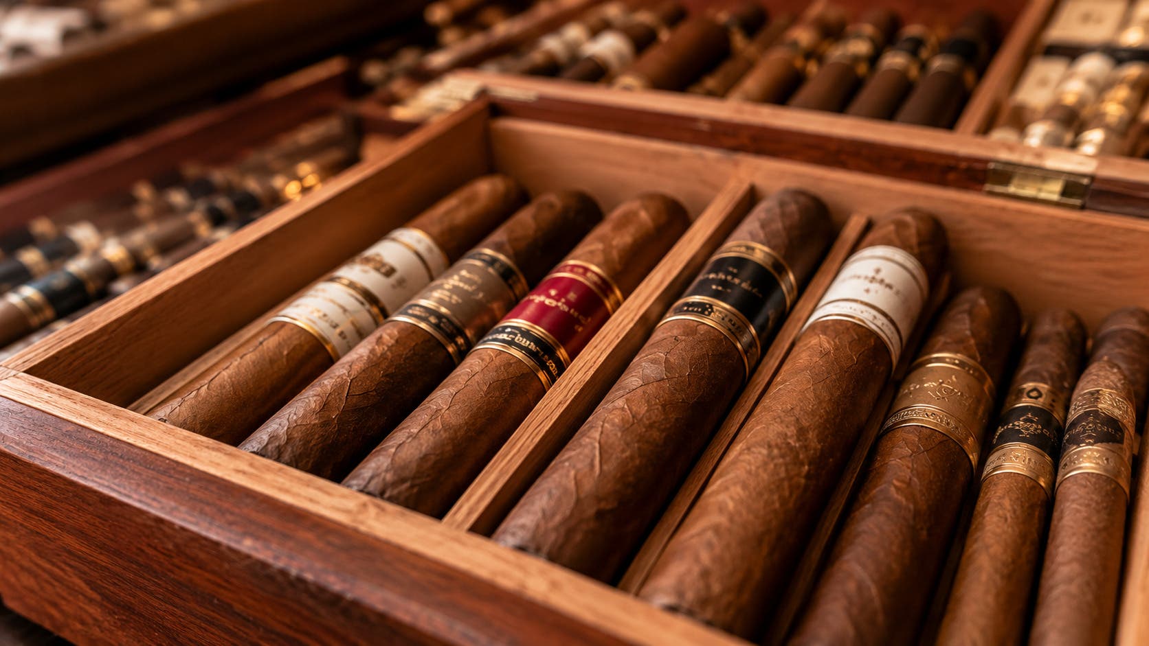 Why Local Cigar Shops Remain Part of the Community Retail Landscape