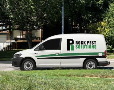 Mark Pest Bed Bugs Specialists