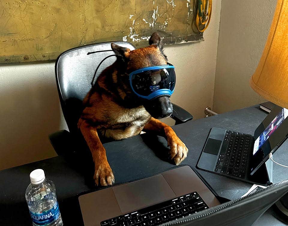 Cornerstone K9