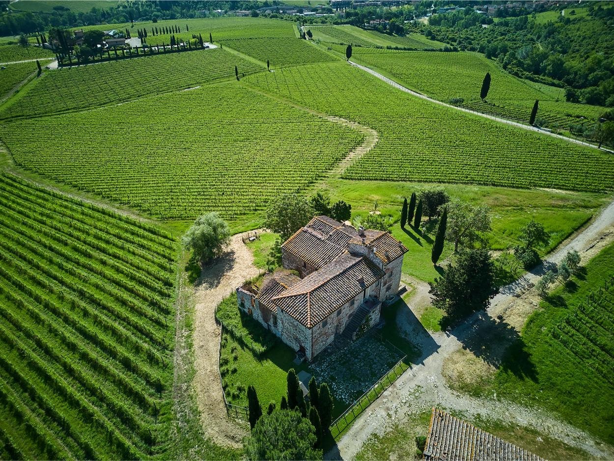 Villa Calcinaia Wine Dinner at The Purple Pig Oak Brook