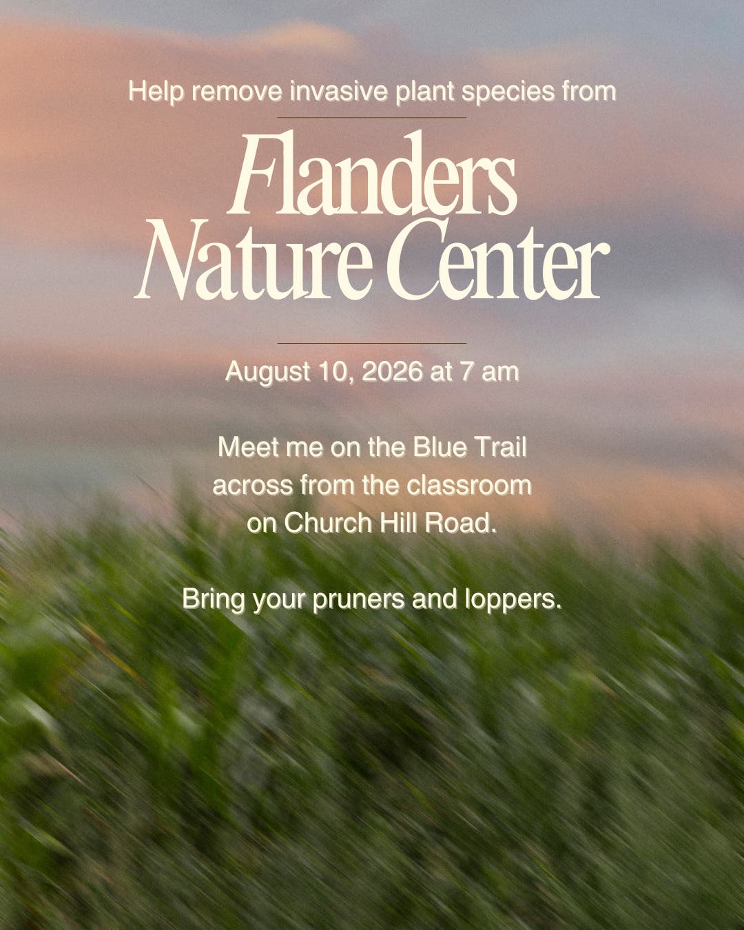 Removing Invasive Plants