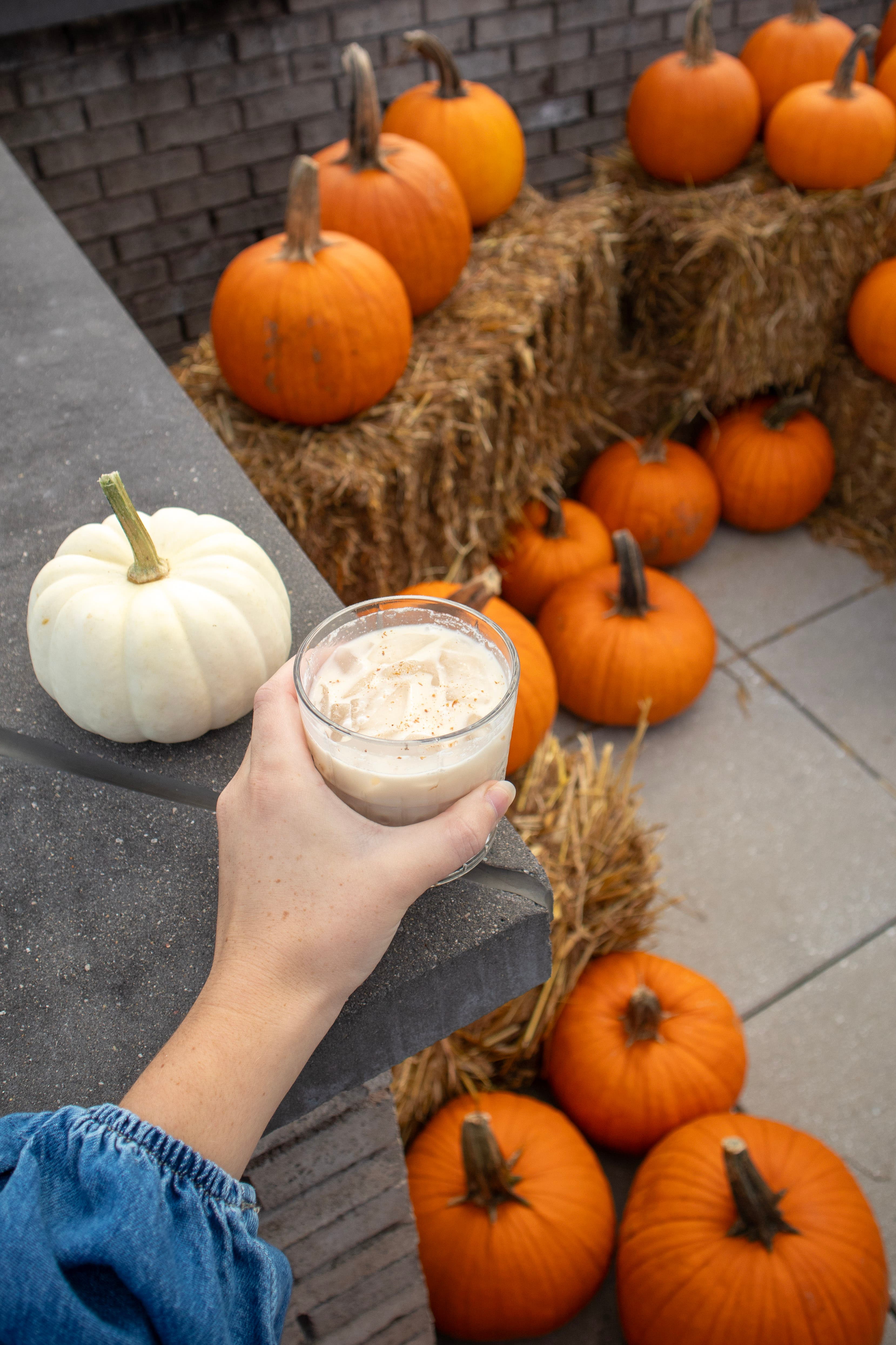 The Loutrel's Rooftop Pumpkin Patch 