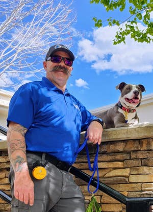 Dog Training Elite