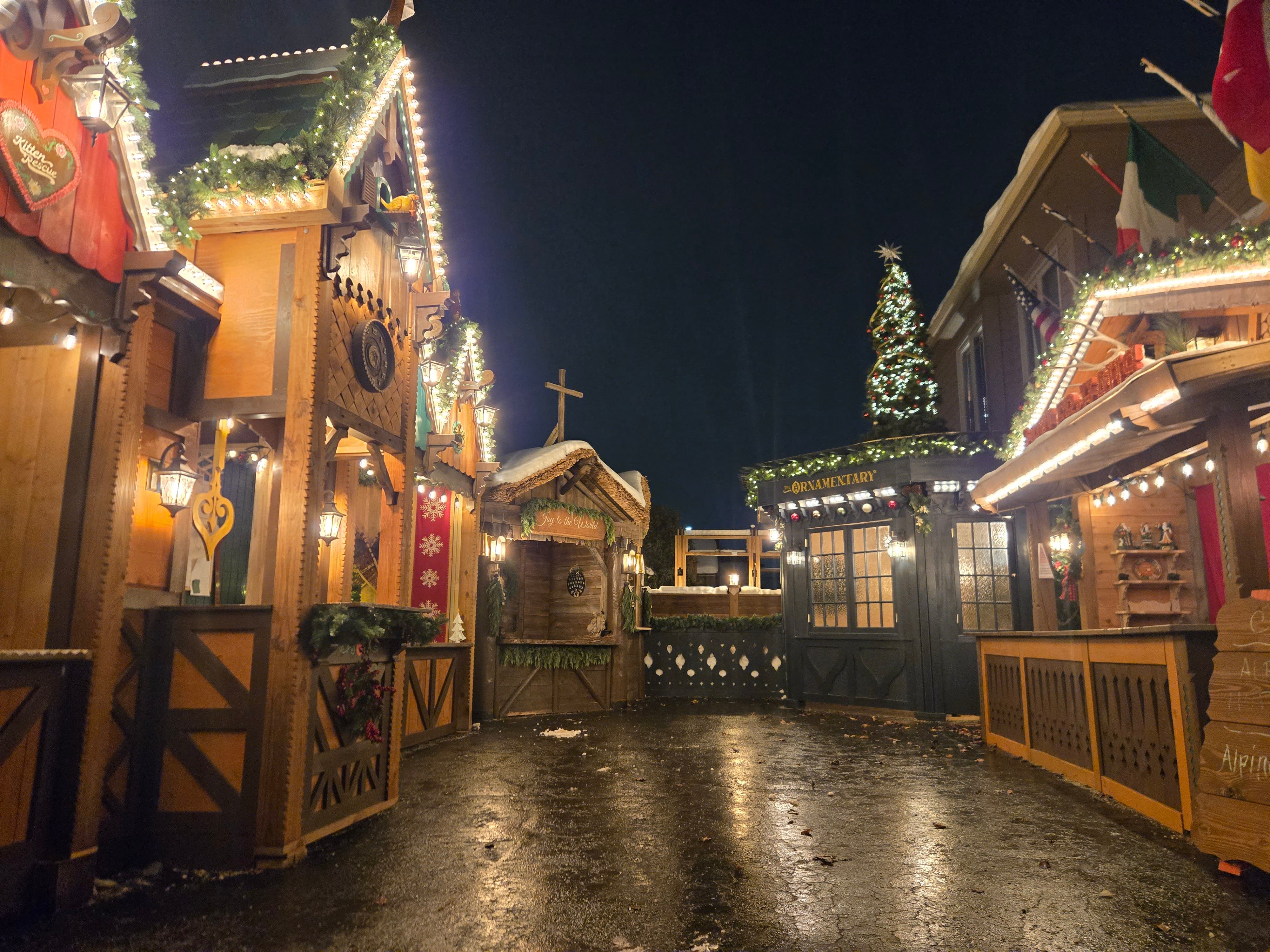 Alpine Village / Christmas House