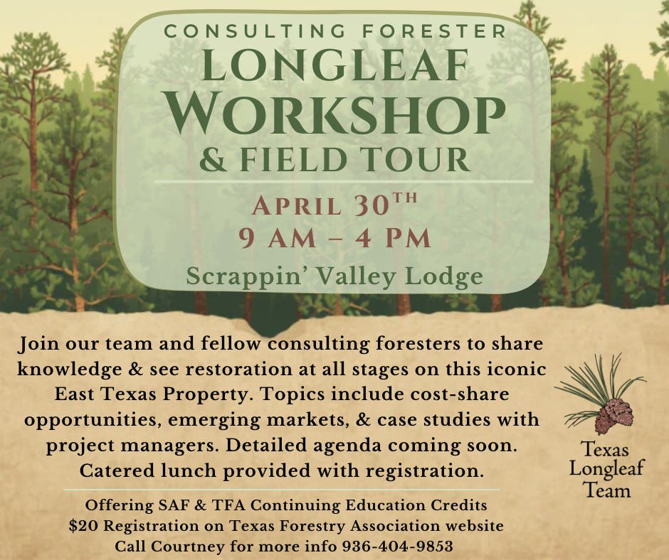 Consulting Forester Longleaf Workshop & Field Tour 