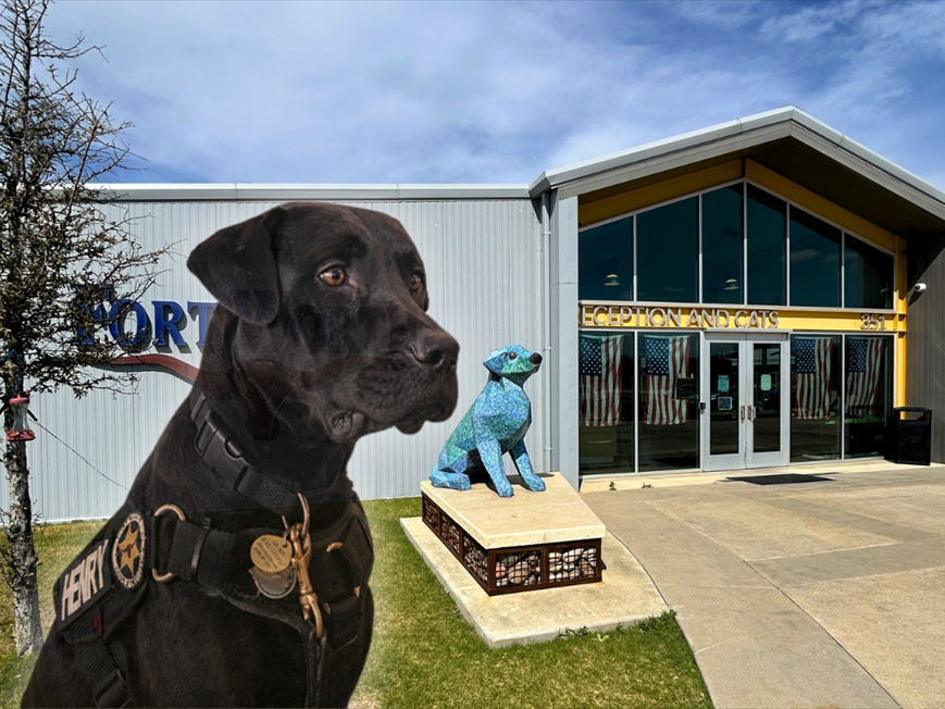 K9 Ambassador Henry