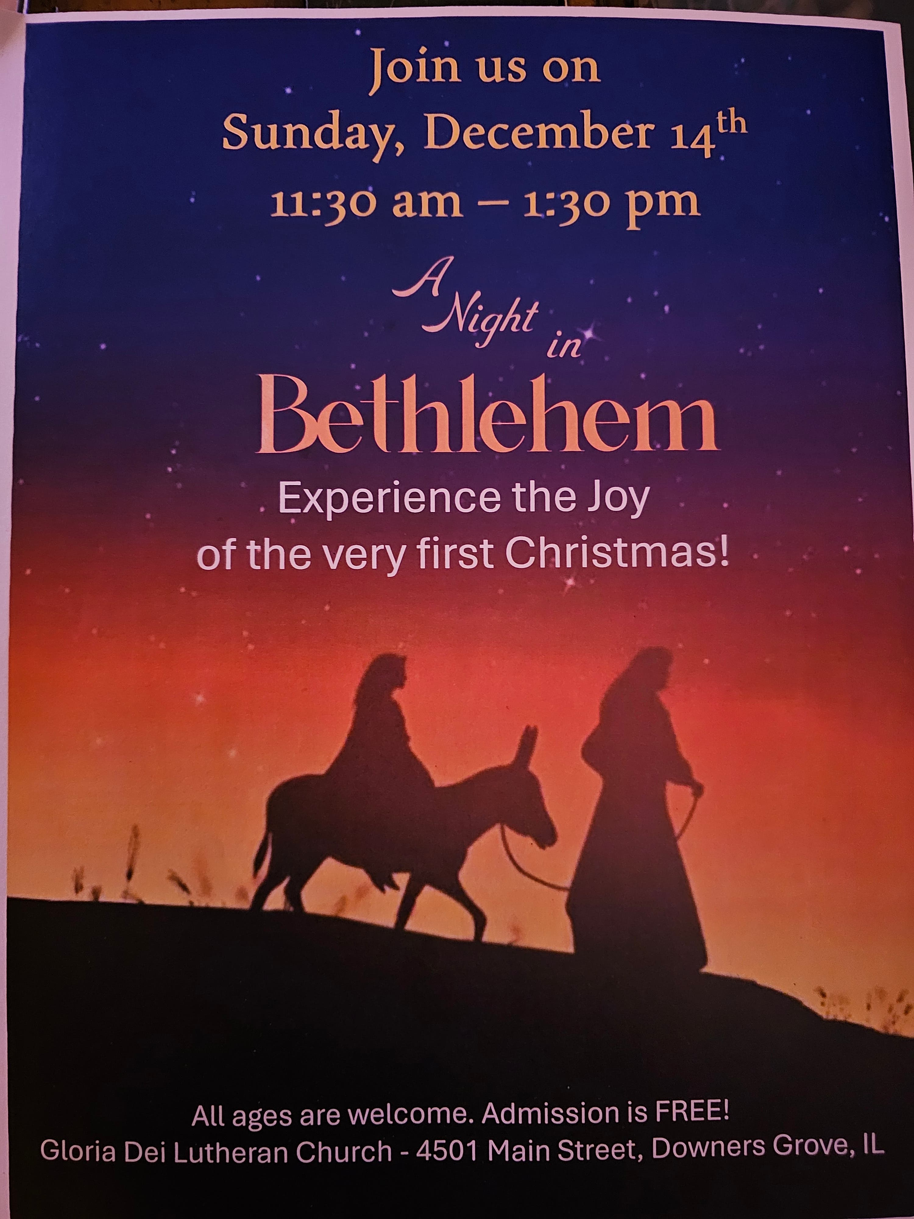 A Night in Bethlehem 