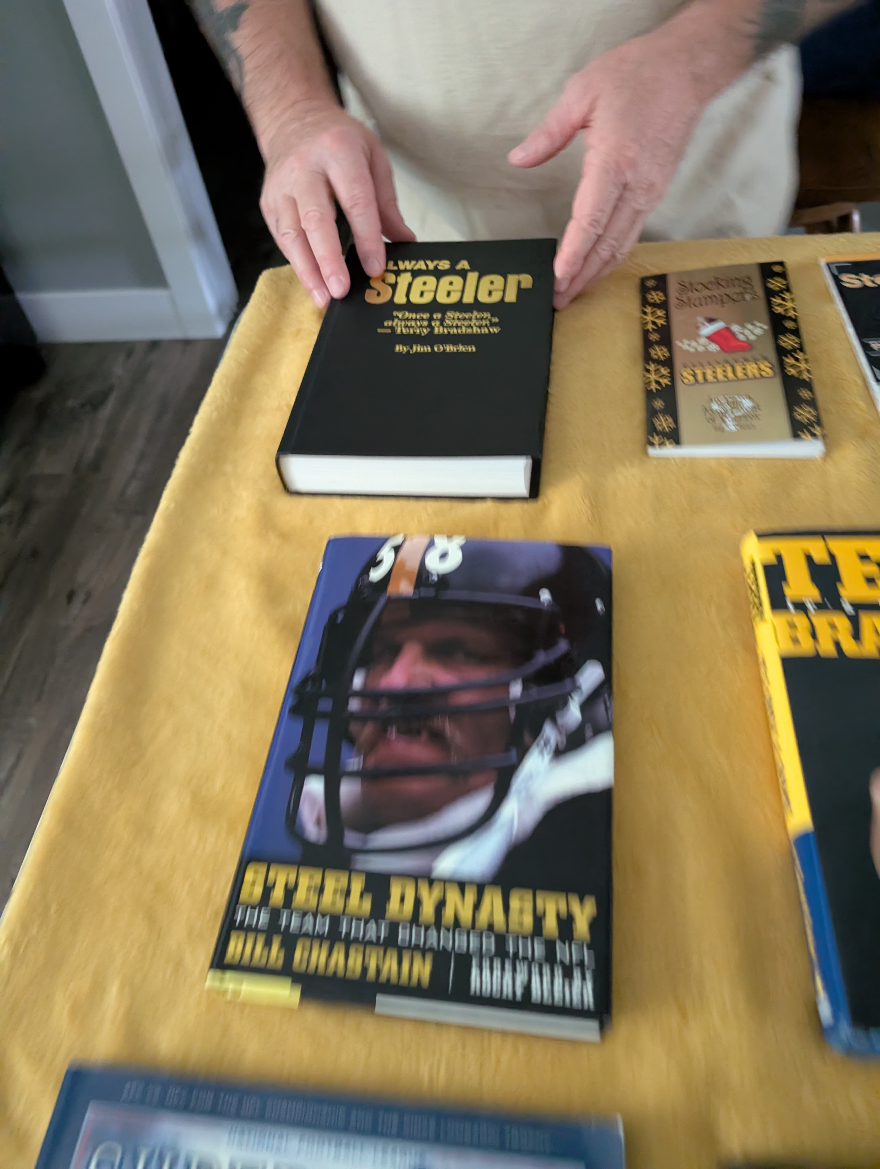Pittsburgh Steelers books 
