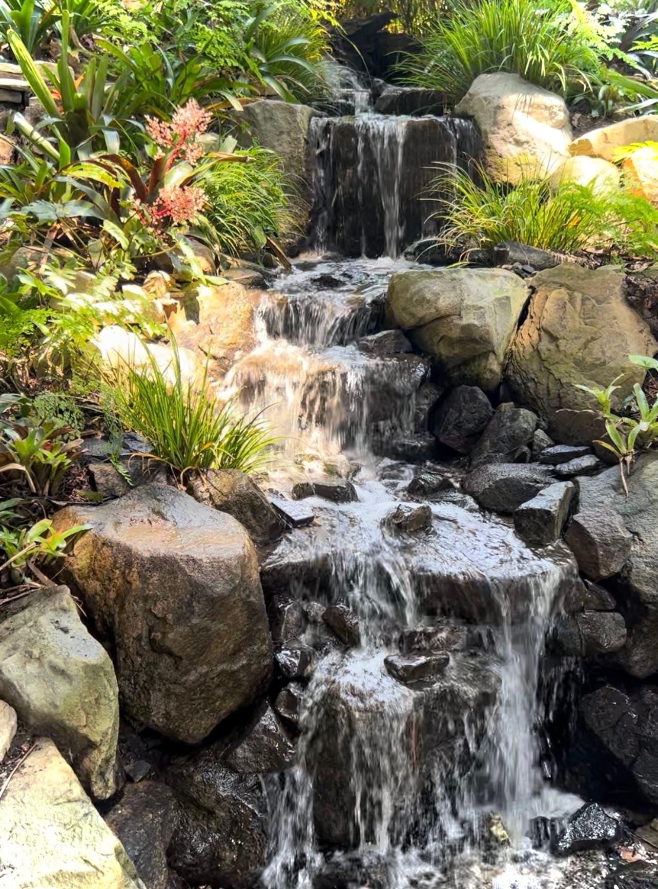 Mindfulness workshop and walk through the gardens
