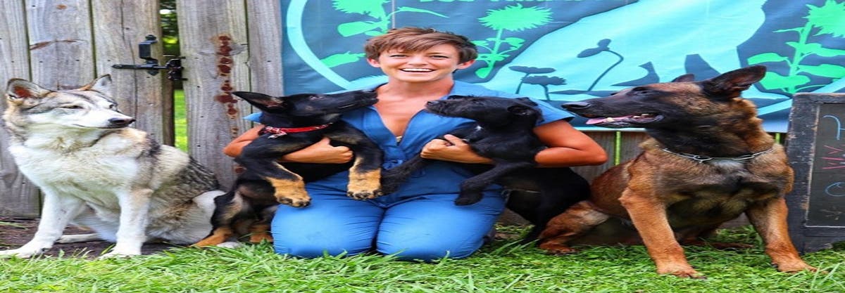 Wild Child Dog Training