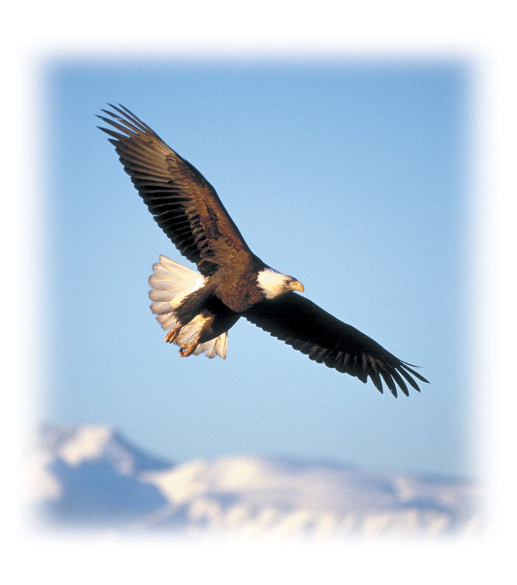 Developing Your Inner Guidance