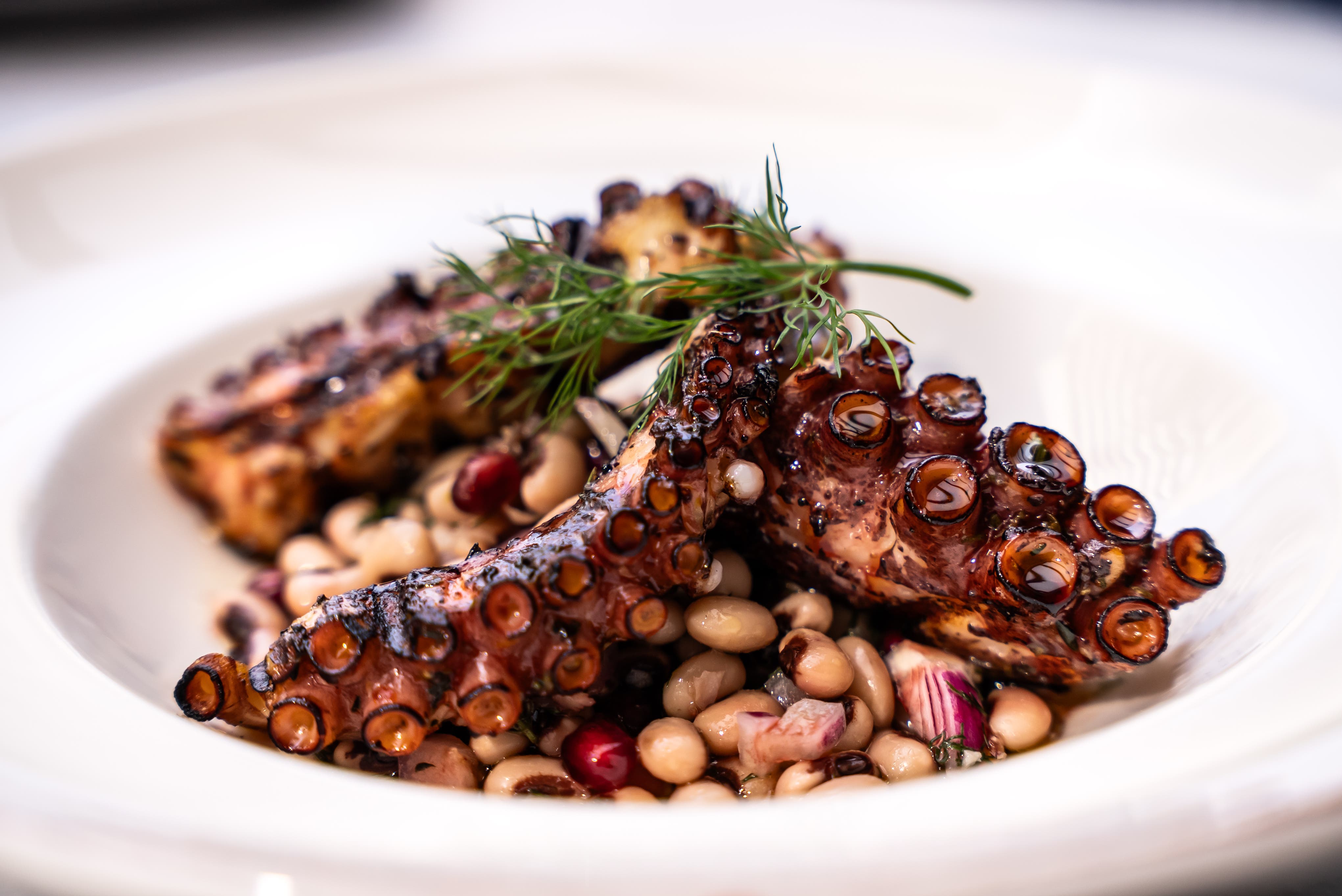 Taste of the Mediterranean and Chef Demos