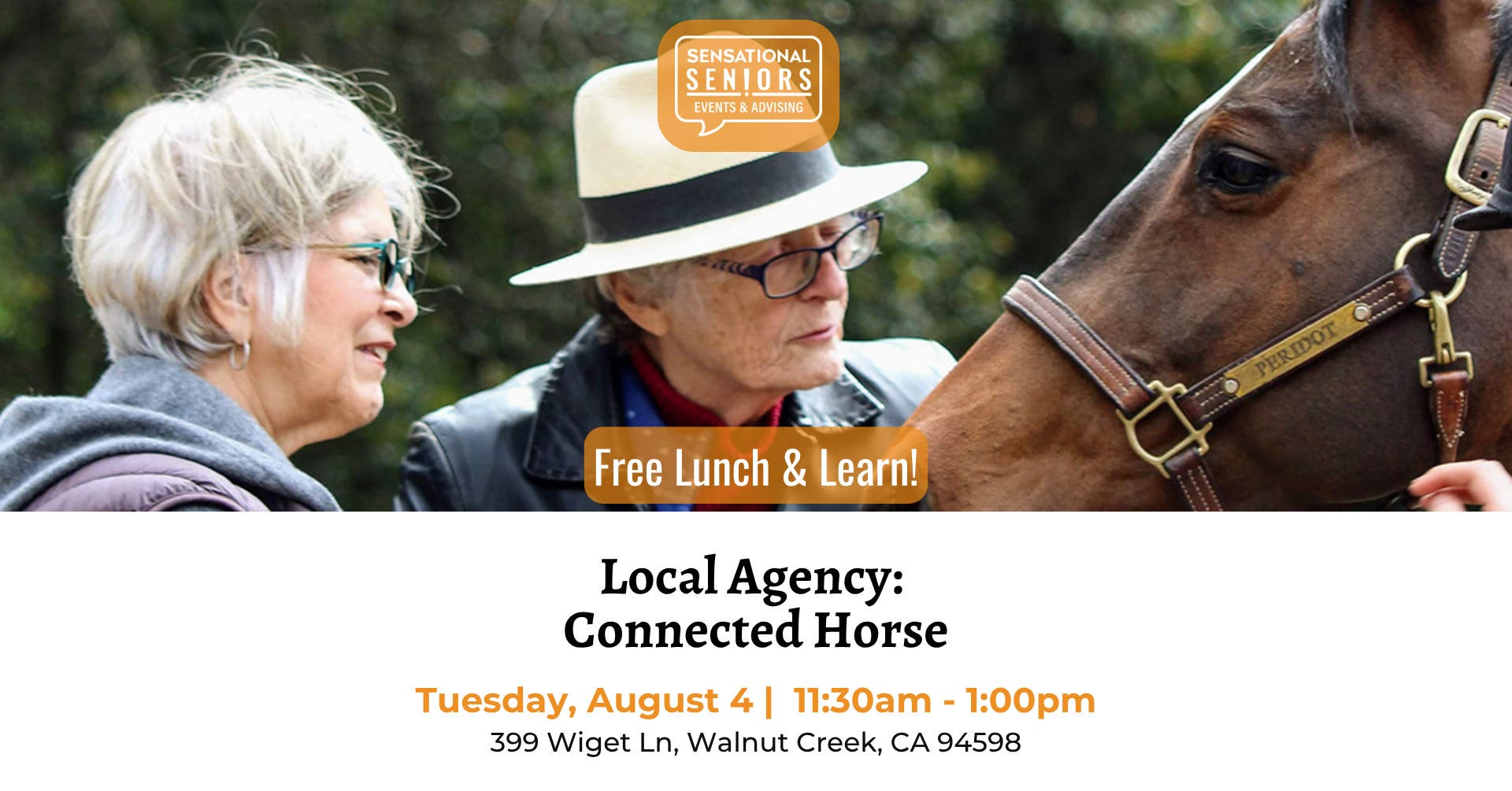 Local Agency: Connected Horse